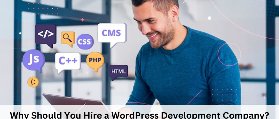 WordPress website development agency