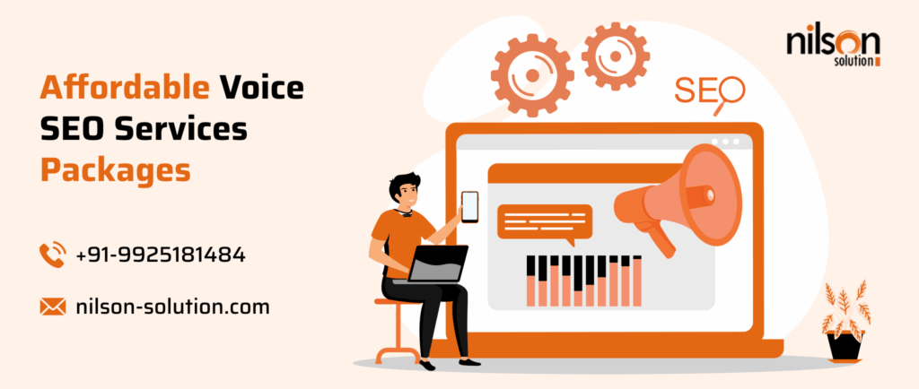 affordable voice seo services